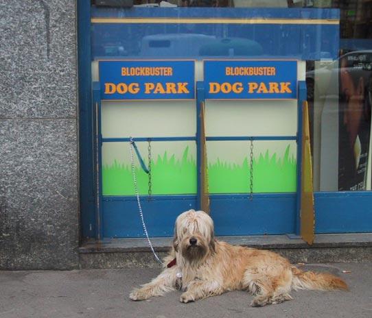 Same same, but different.  The Blockbuster Video in Milan has a place to park your dog.