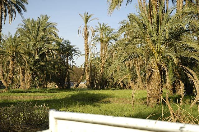Bhadri Island - Kerma: This lush green island in the middle of the nile felt more like Indonesia than Sudan.