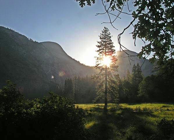 I joined the Kodak Photo Walk and we were two minutes late for the sunset.  We saw beautiful beams of light shooting from Half Dome but didn't get past the trees until after they were gone.  I instead had to take a shot hiding the sun behind a tree.