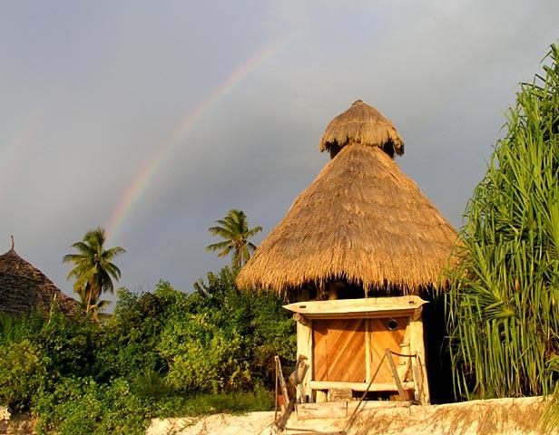 Rainbow over the palm trees on Zanzibar.