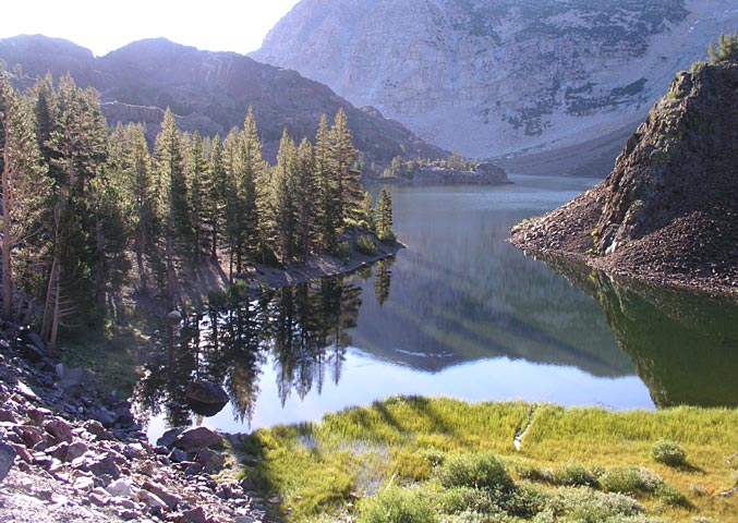Ellery Lake near the top of Tioga Pass (approx. 9200 feet)