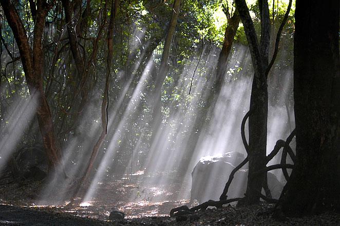 Beautiful light caused by horrible clouds of dust.