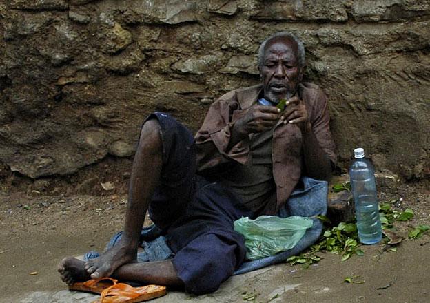 A chat eater in the streets of Harrar.