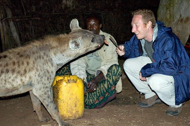 The famous 'me' feeding a Hyena.