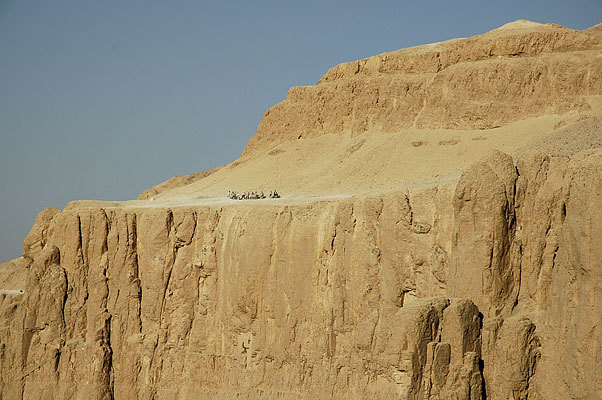 Tourists taking donkeys over to the Valley of the Kings.