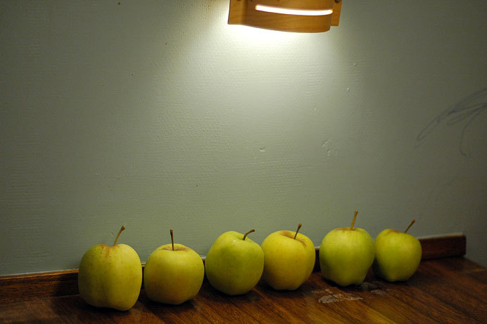 Still Life with Apples - the first shot I took with my new 50mm lens.