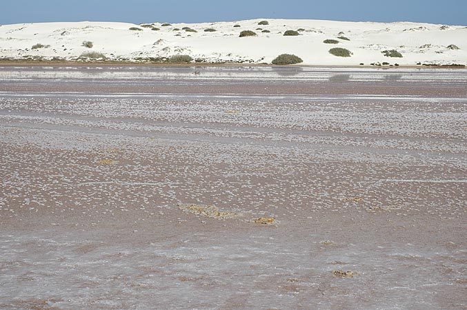 The slat flats alongside Saluum, with sand so white it looks like snow.