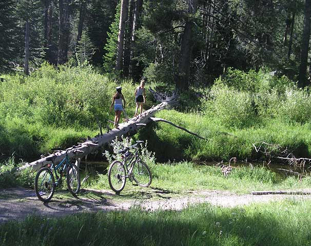 Donner State Park
