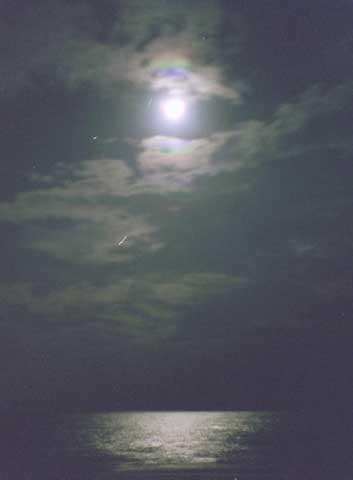 Full moon - it's time for a party.